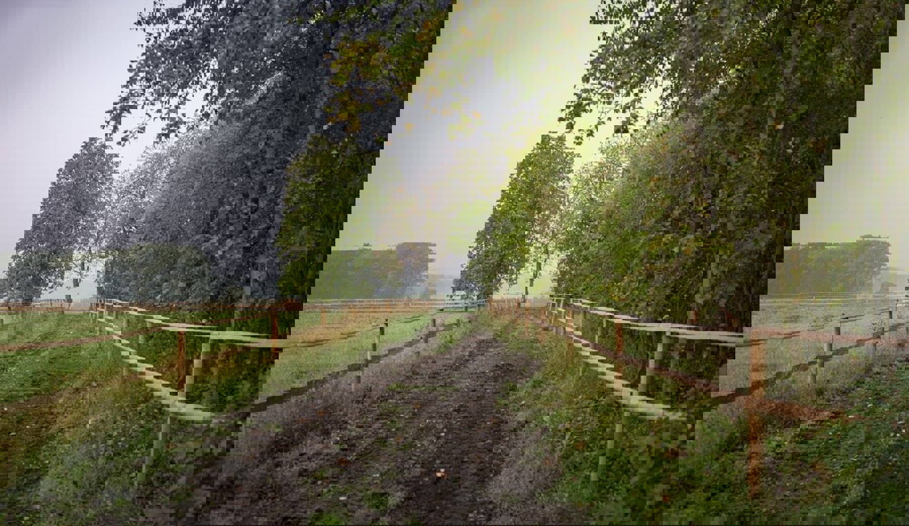 Image /media/00cbqaej/ext_4.jpg