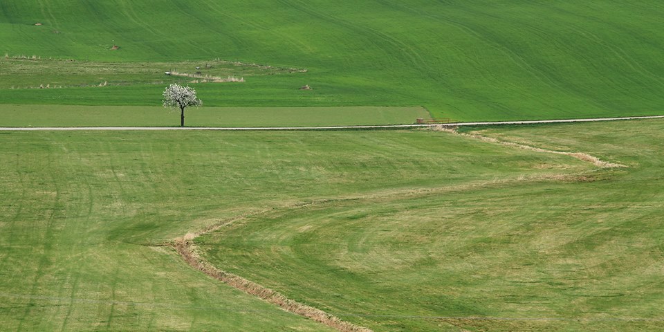 Obrázek /media/0dppsn10/countryside15.jpg