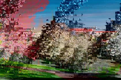 Image /media/0iqph2c2/img-0447.jpg