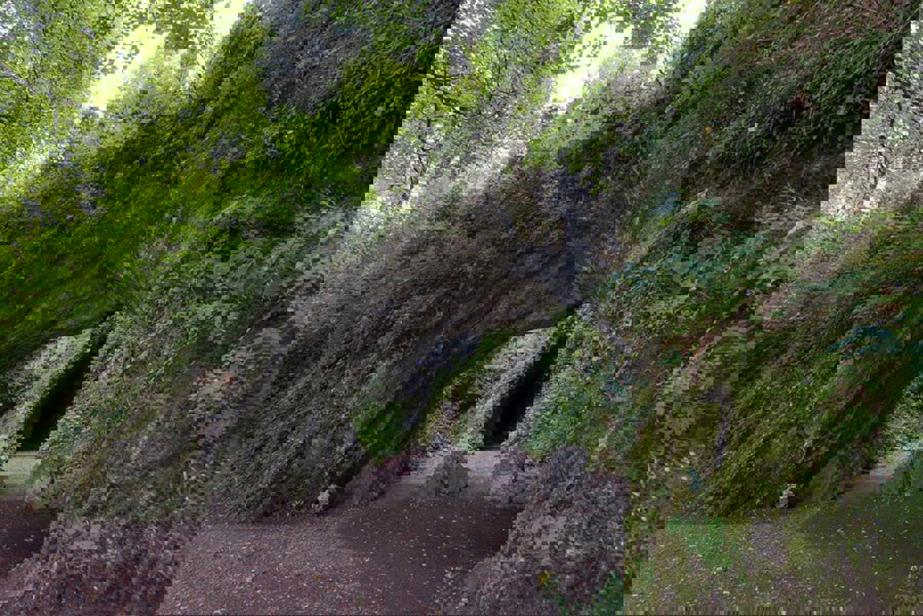 Image /media/0lxbwibc/dsc_1735.jpg