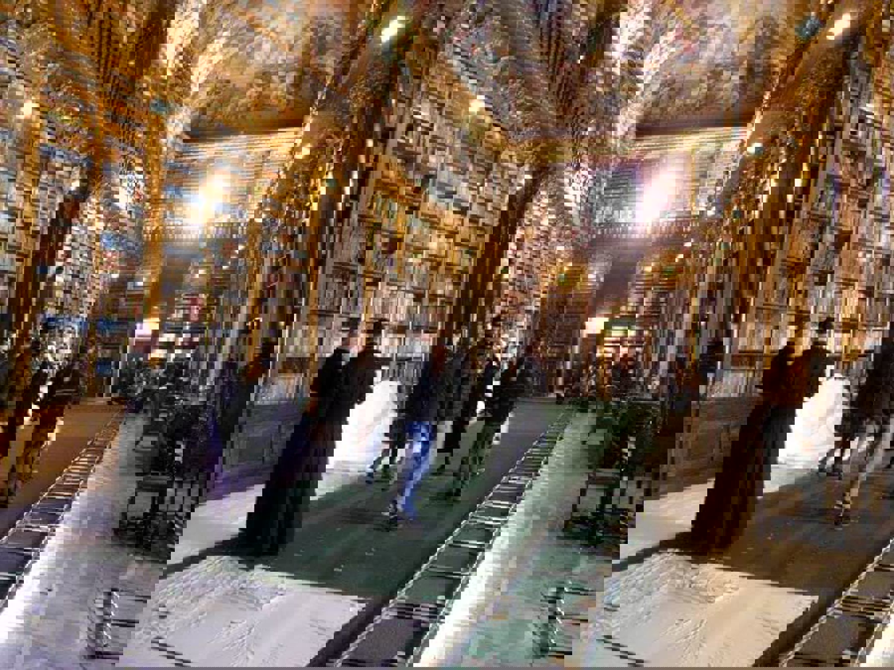 Image /media/0lxod25p/foto_361.jpg