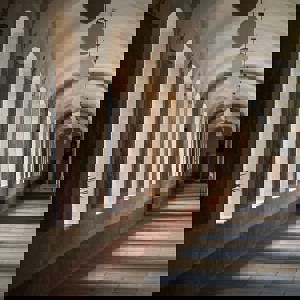 Image /media/0mvjwbri/kuks_11.jpg