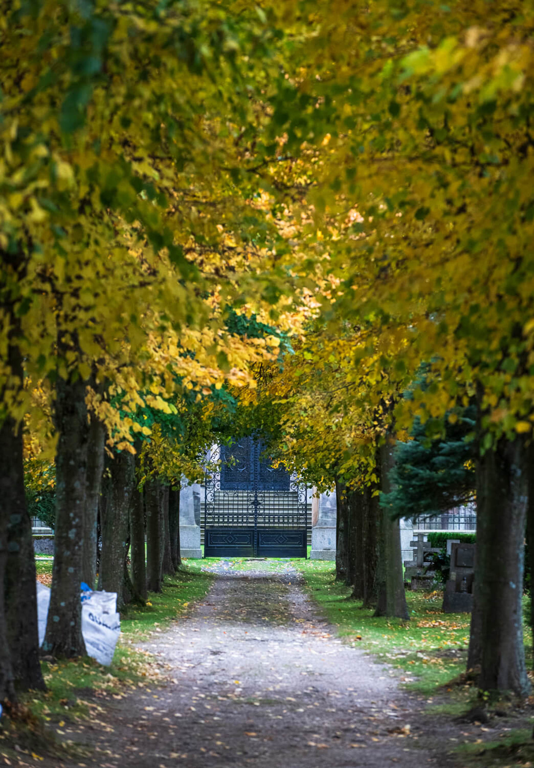 Image /media/0olbwbpt/_dsc2203.jpg