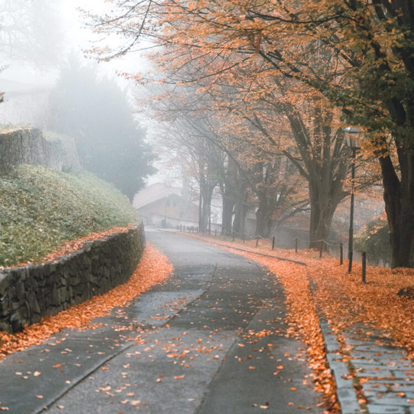 Obrázek /media/0pqd12hg/cesky_krumlov_-weilfernweh_15.jpeg