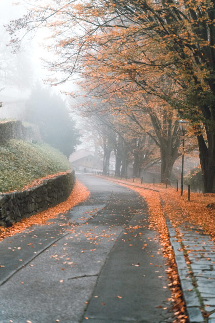 Obrázek /media/0pqd12hg/cesky_krumlov_-weilfernweh_15.jpeg