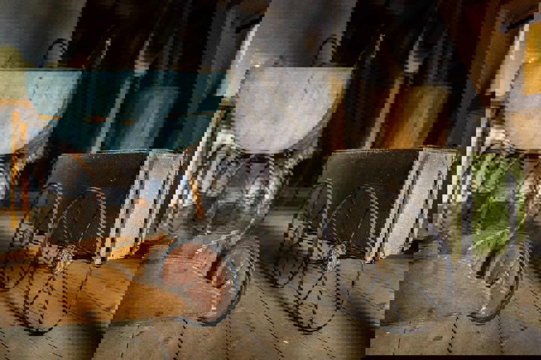 Image /media/0trjycp2/wesselsky_005.jpg