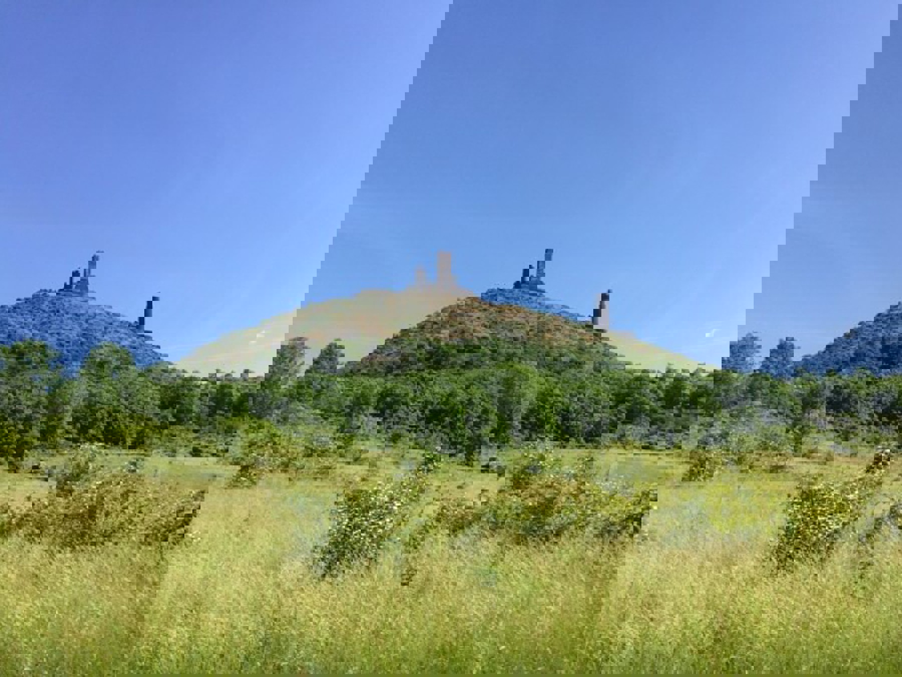 Image /media/15wfwasp/img_5826.jpg