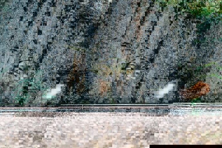 Obrázek /media/1gonmjt3/oci_dsc09197-edit.jpg