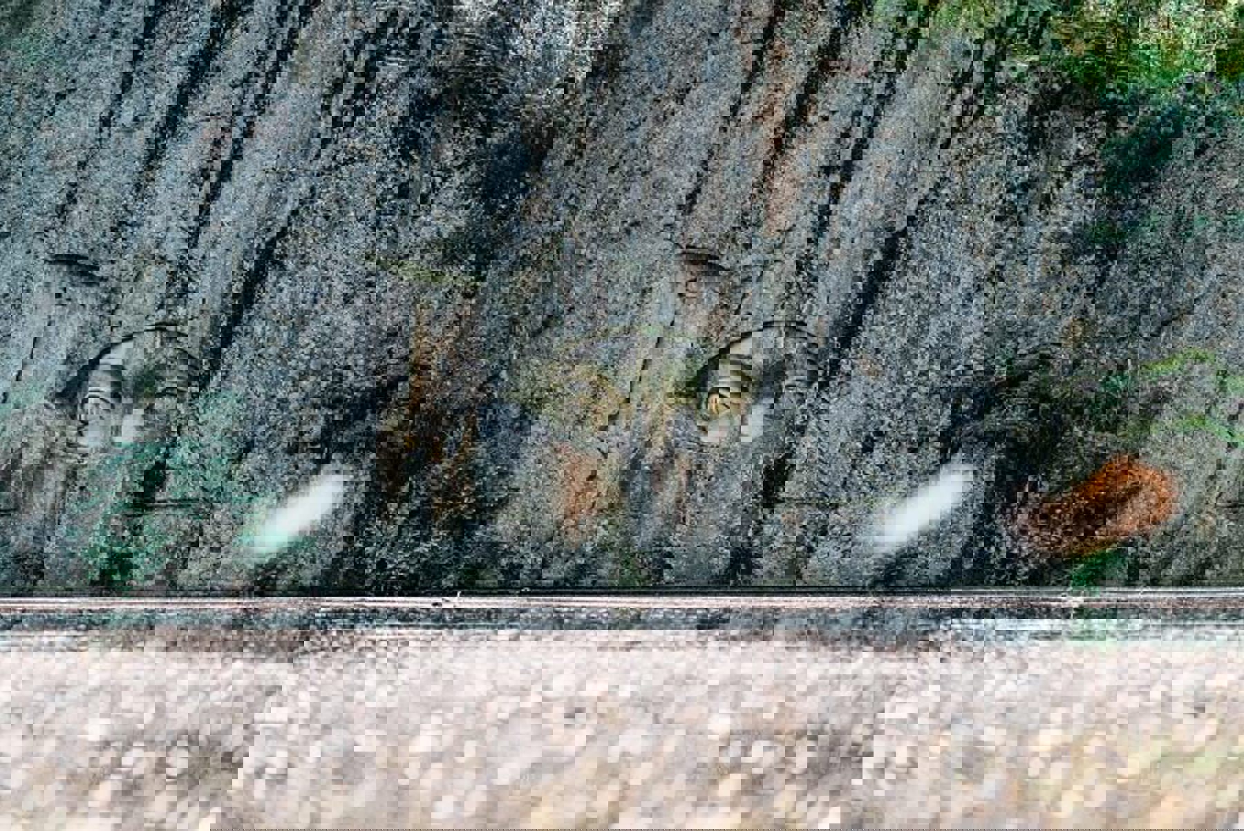 Obrázek /media/1gonmjt3/oci_dsc09197-edit.jpg