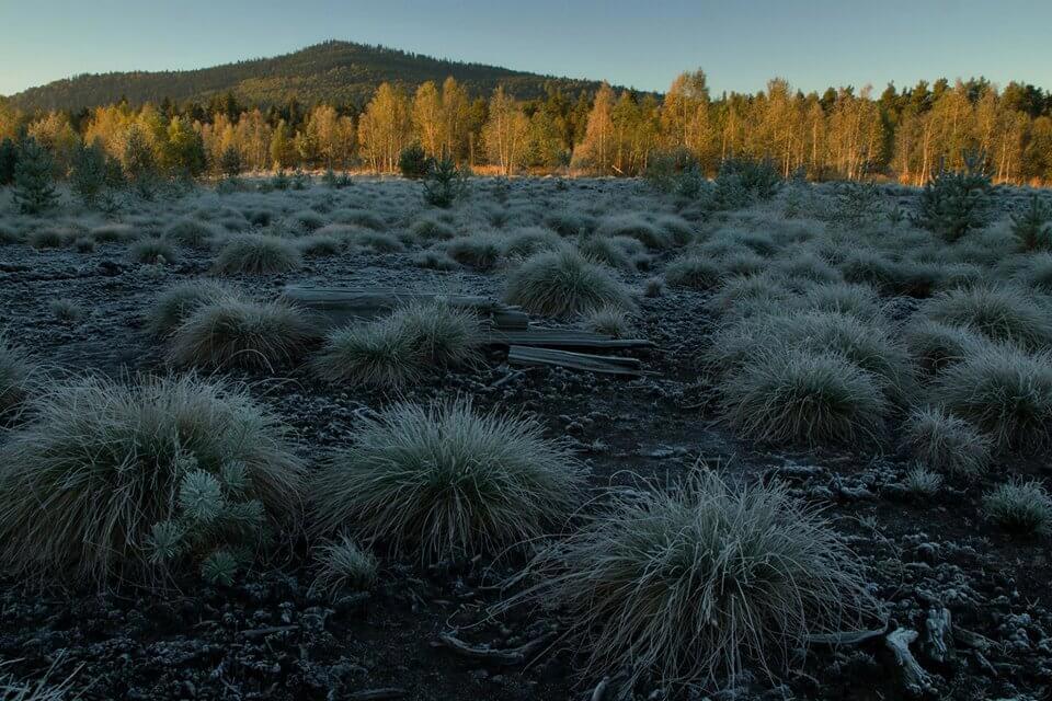 Obrázek /media/1ogjgmel/nature_jensovsky1.jpg