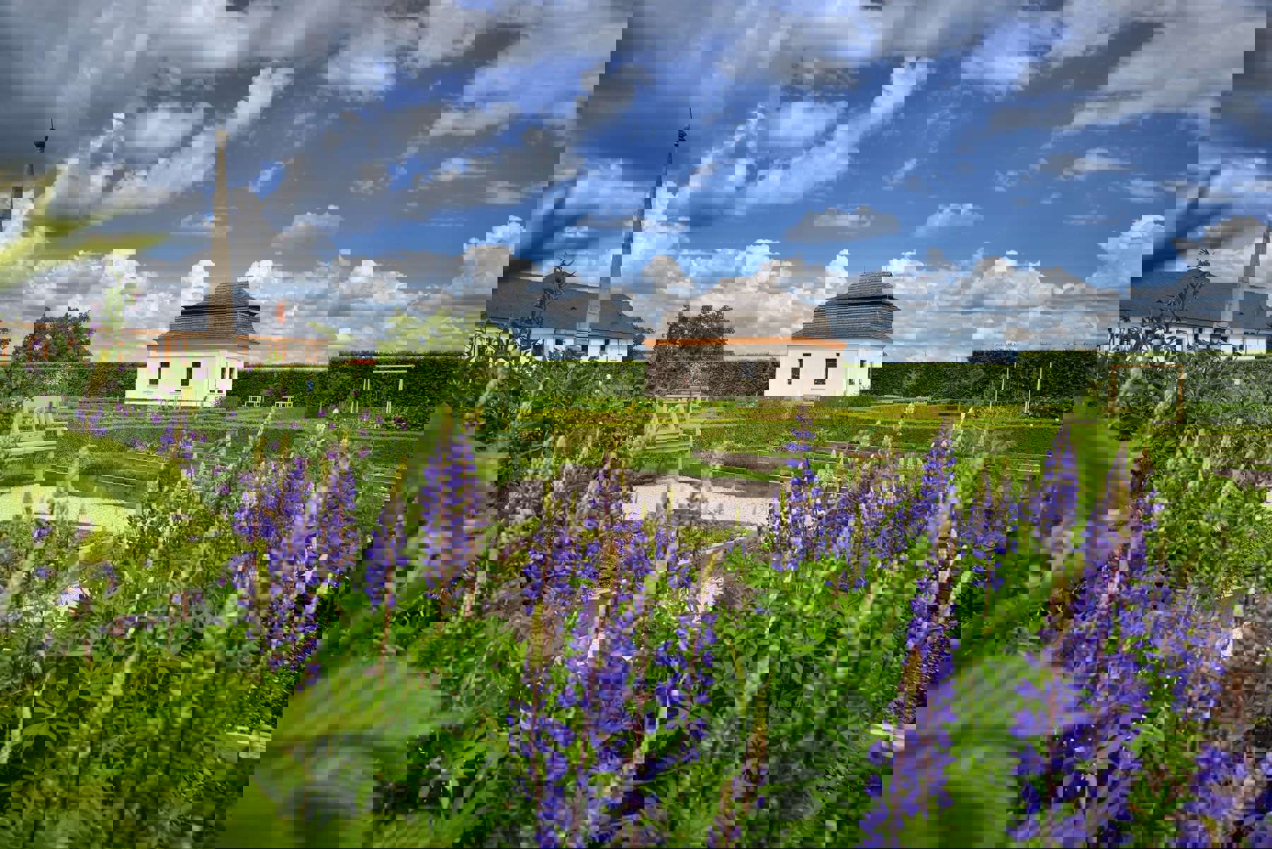 Image /media/1prn52lo/kuks-_-hospital-zahrada-kvetiny-02-_-rennerladislav-2017-_-zkuskukscz.jpg