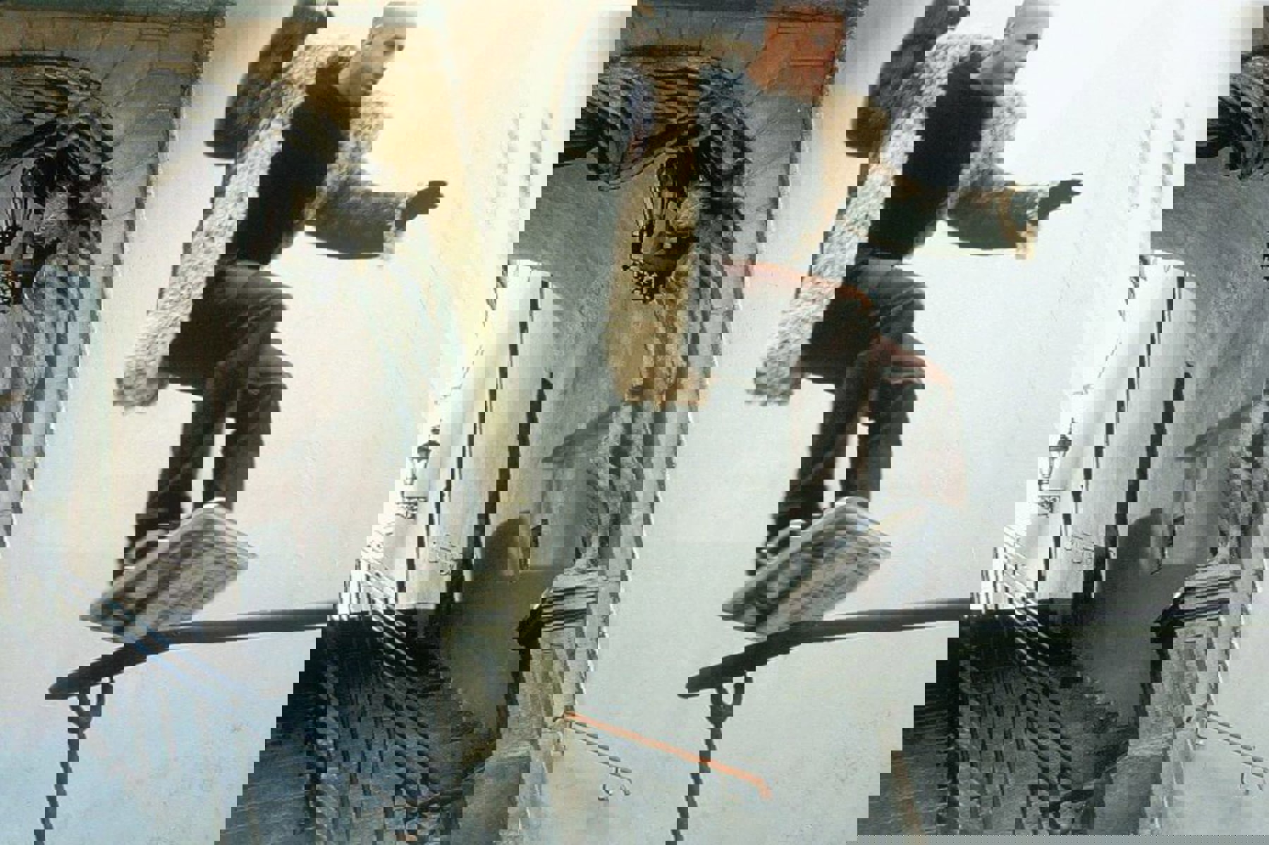 Obrázek /media/1x5jgcpb/crw-6903_resize.jpg