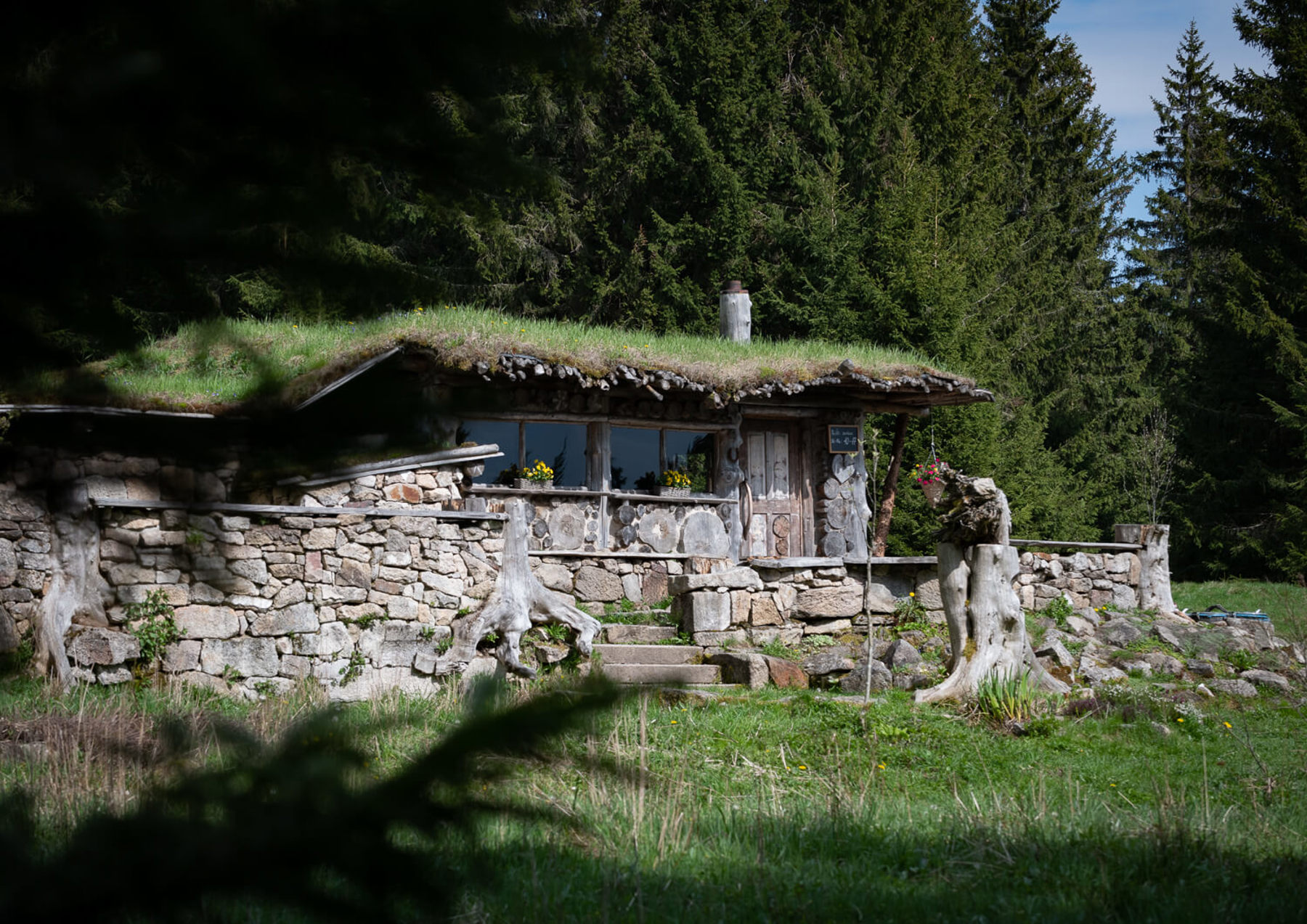 Image /media/20alxlnp/dsc8072.jpg