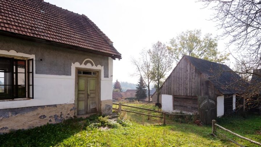 Ilustrační obrázek článku 'Michal Farm'
