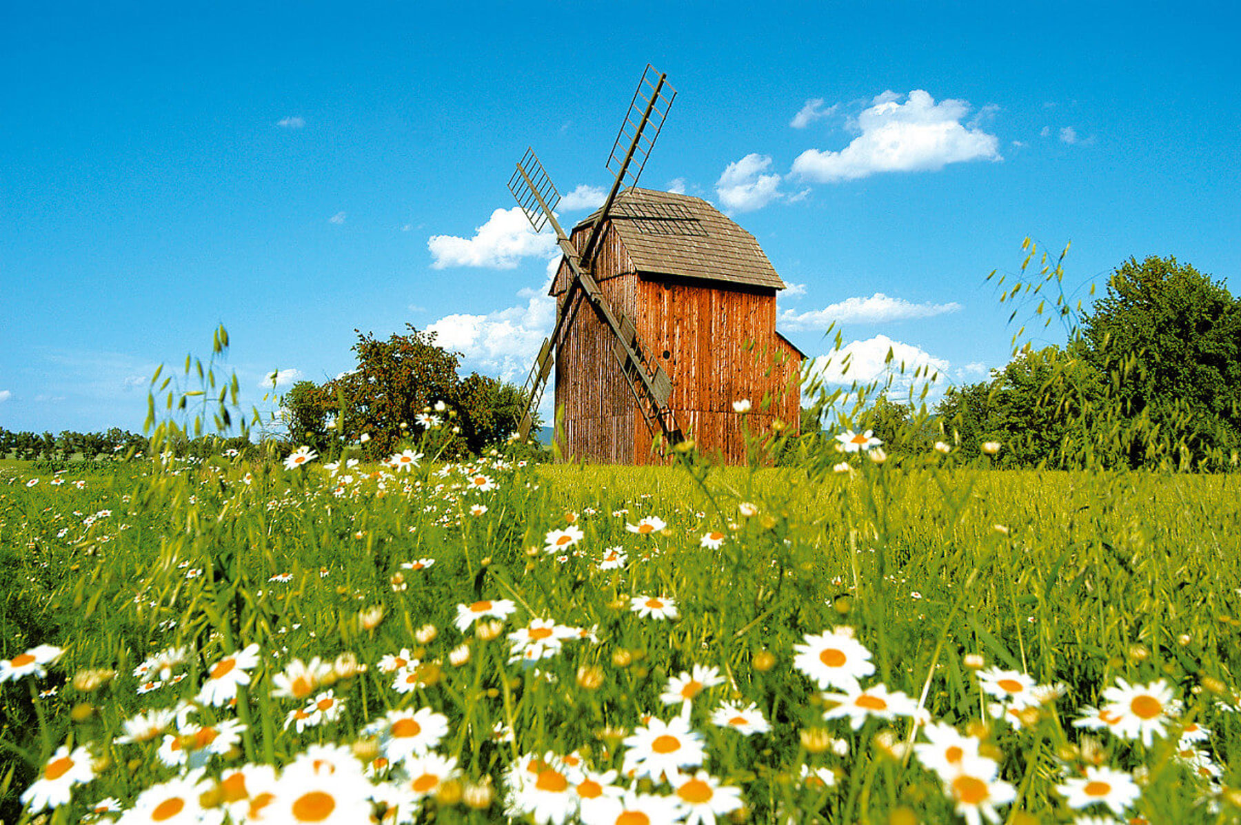 Obrázek /media/2bob1ztu/rymice_-_vetrny_mlyn_.jpg