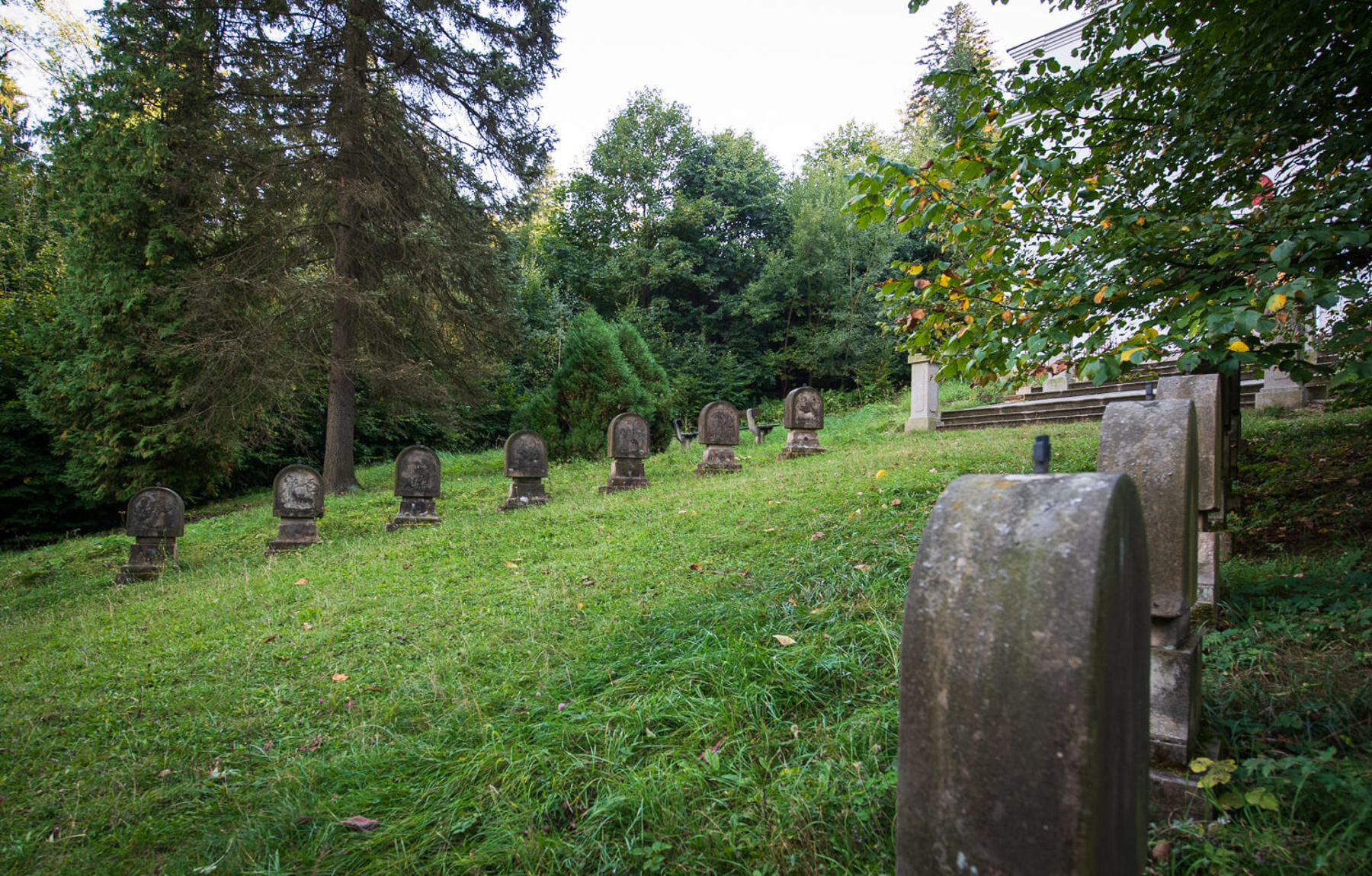 Obrázek /media/2ckfpjrt/_dsc9104.jpg