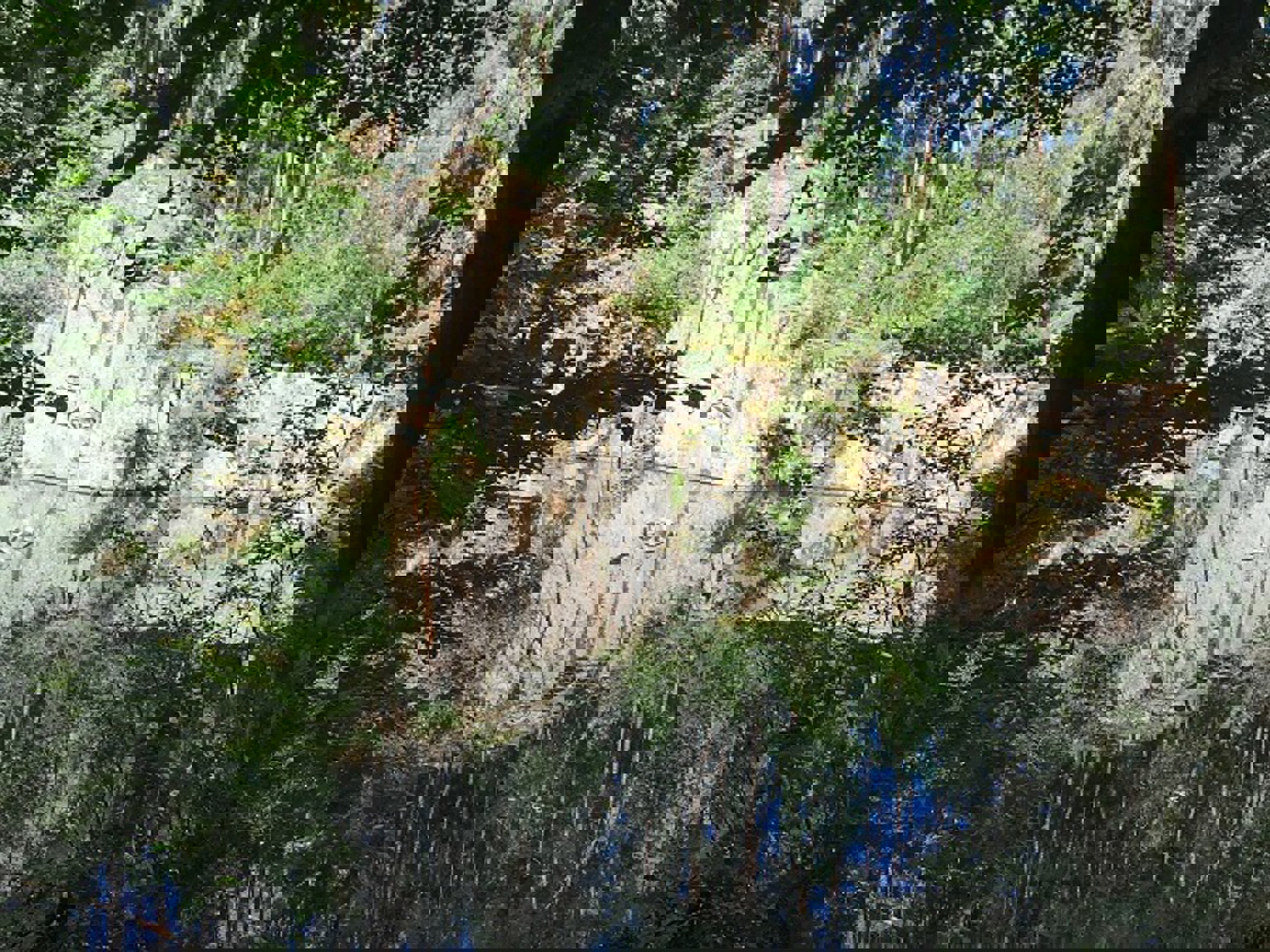 Image /media/2ckjrksi/oci_hranice1_obec_lipnice_nad_sazavou.jpg