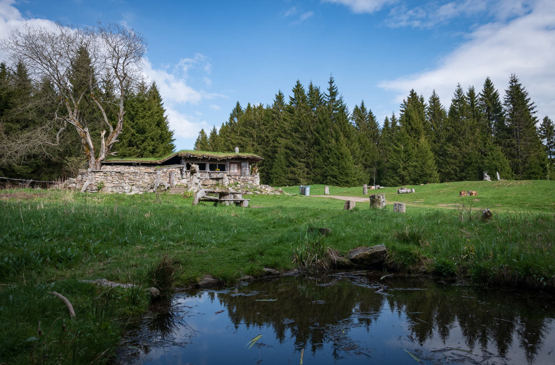 Image /media/2imd5c2i/dsc8110.jpg