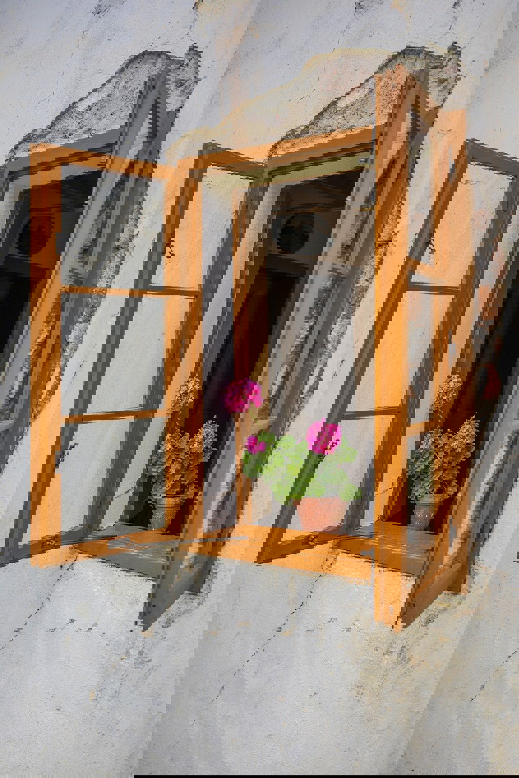 Image /media/2wcb1k4i/wesselsky_038.jpg