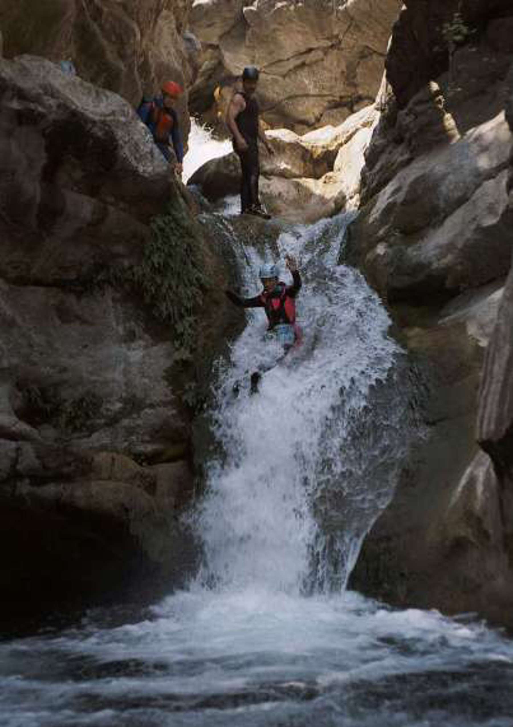 Image /media/35rnvb3a/aph_10.jpg