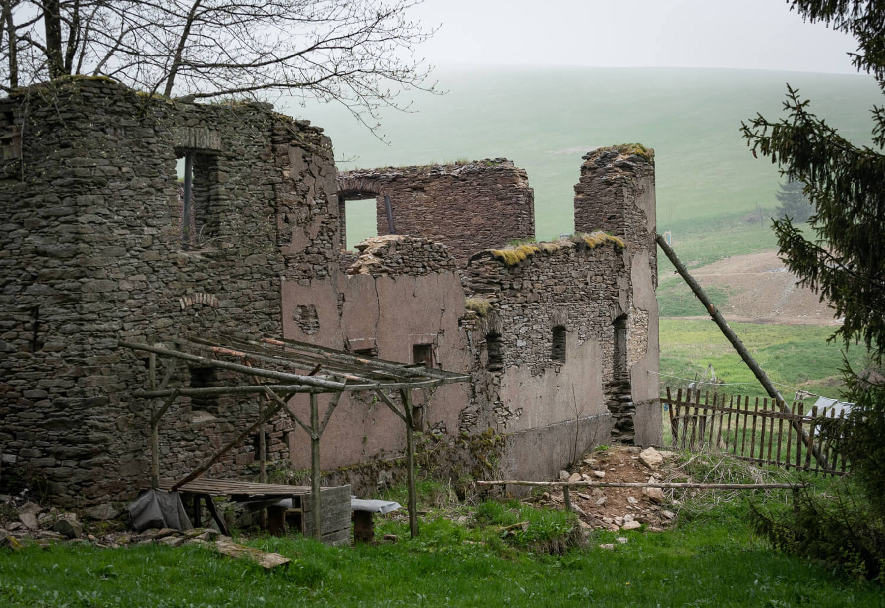 Image /media/3ffbb4lc/dsc8436.jpg