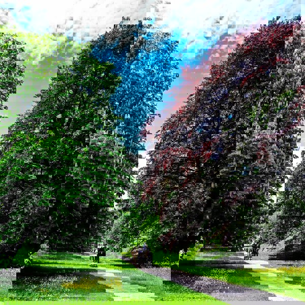 Image /media/3hybfrnr/park-cechy_pod_kosirem2_mala.jpg