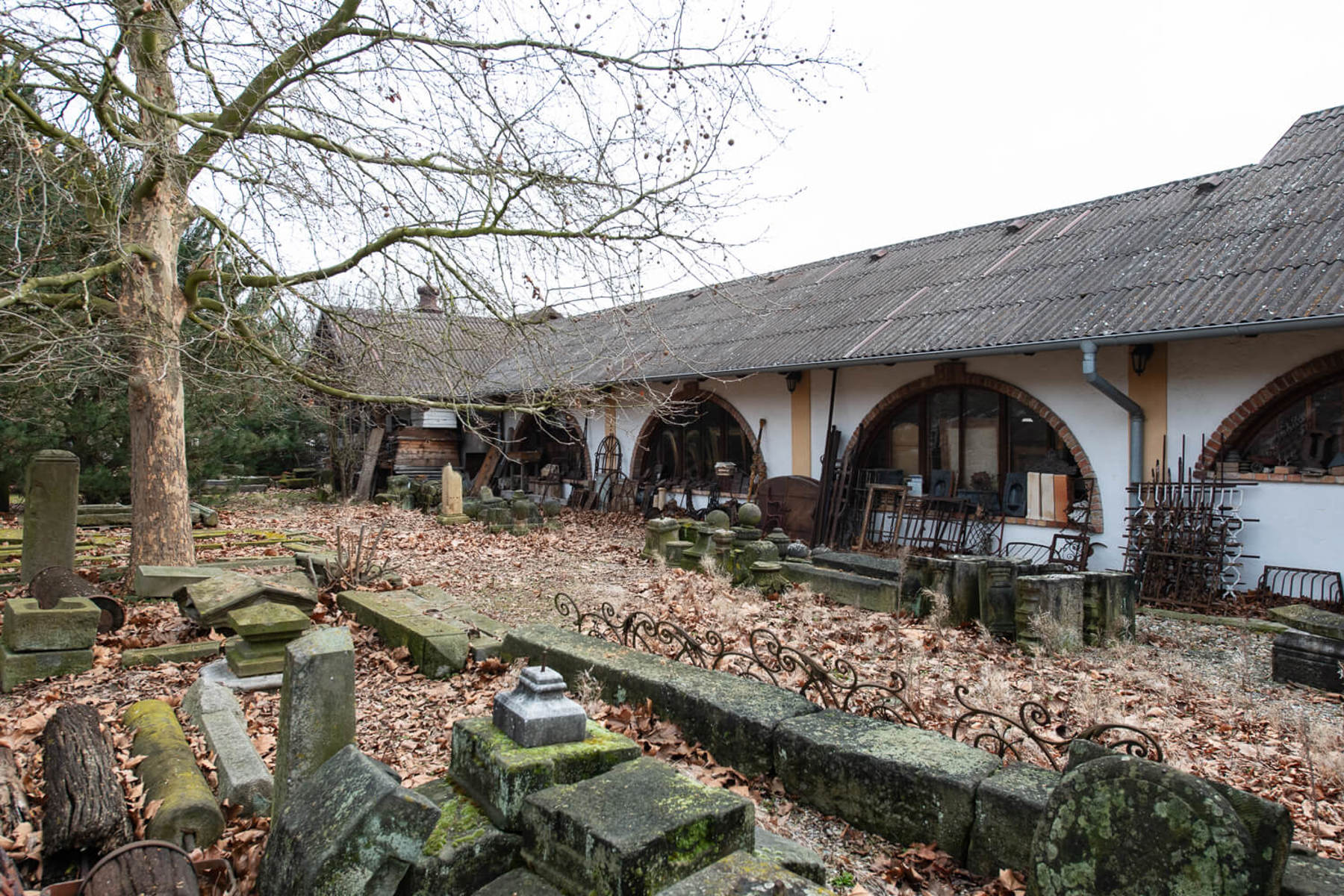 Obrázek /media/3hzhsaix/_dsc1432.jpg