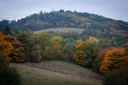 Image /media/3iunnm4o/_dsc3403.jpg