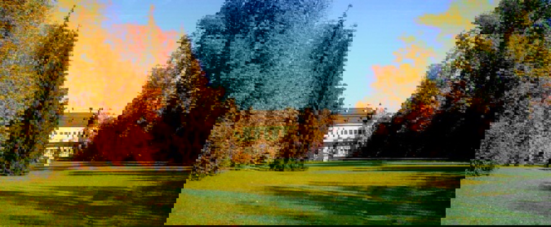 Obrázek /media/3iydbgid/jizni_pruceli1.jpg