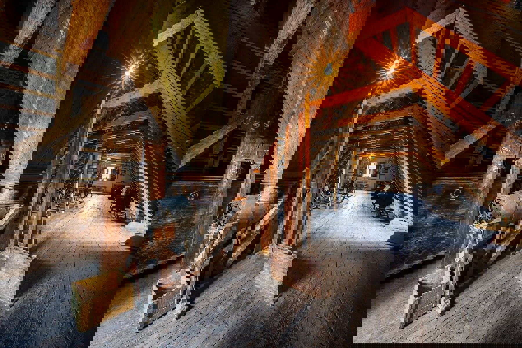 Image /media/3k4ianuc/wesselsky_013.jpg