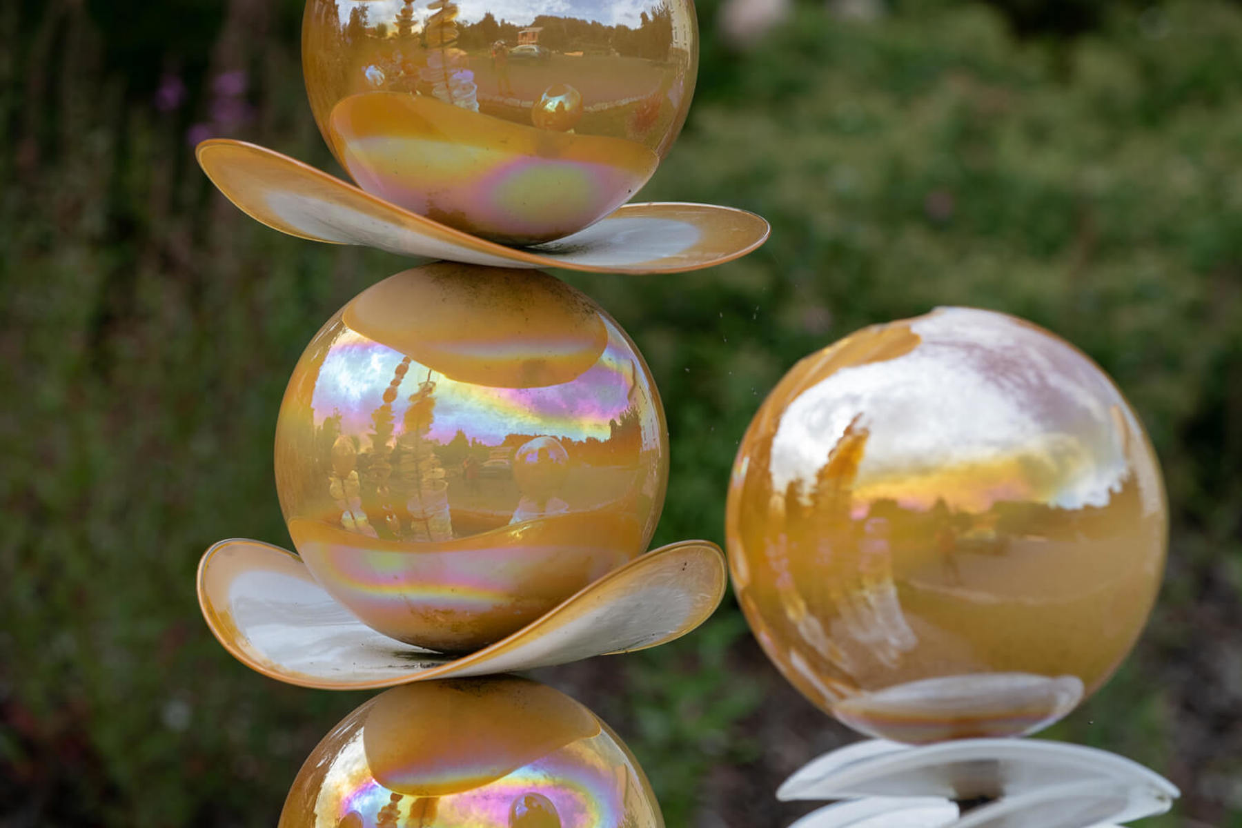 Image /media/3ssfen2n/_dsc6893.jpg