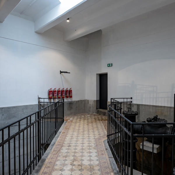 Image /media/3uahes4w/_dsc9251.jpg