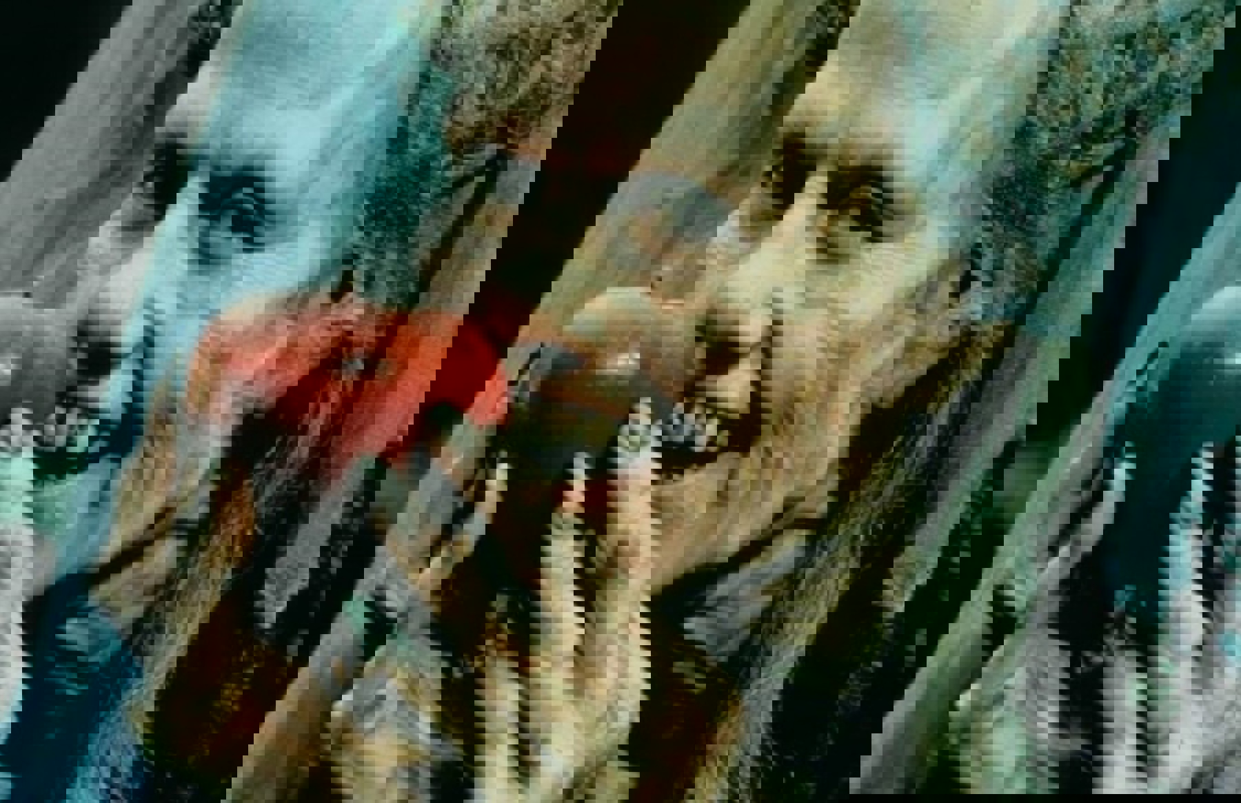 Image /media/3vwbmz4m/na6749a249eeebac18fed74bc92c8196.jpg