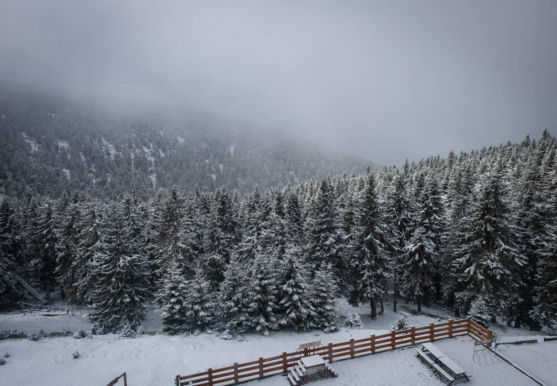 Obrázek /media/3xtl1hf3/_dsc3527.jpg