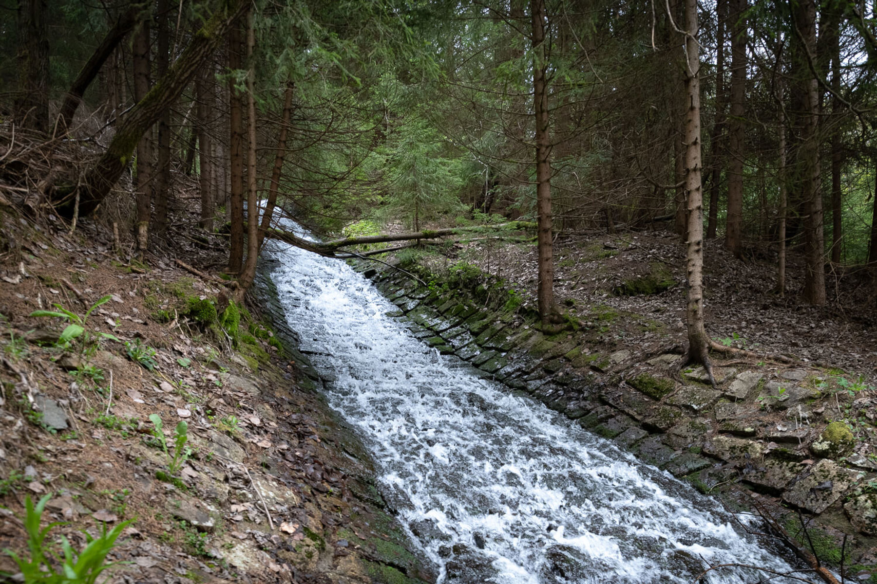 Image /media/3y2nsrkv/dsc8706.jpg