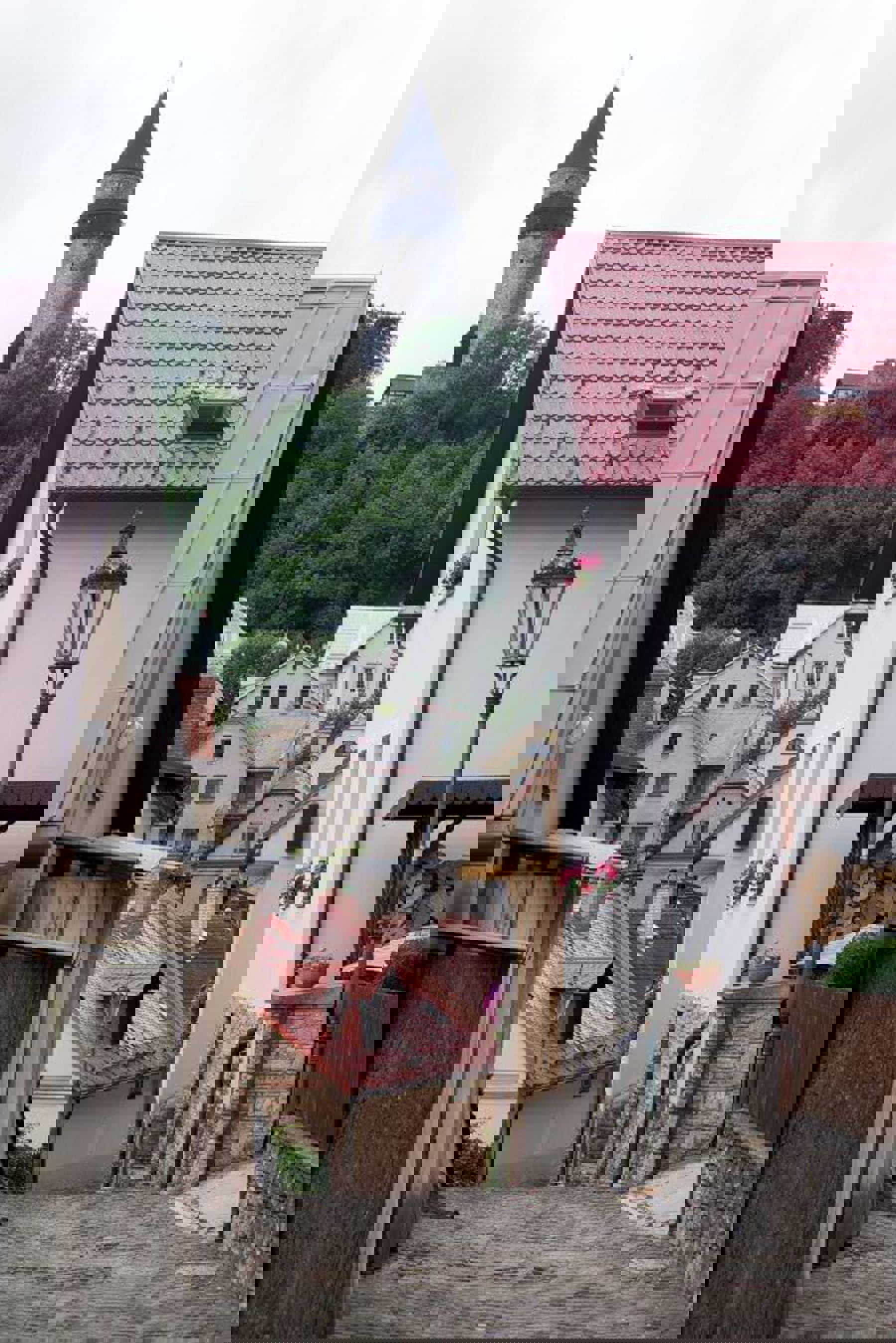 Image /media/41ai4pv5/dsc_1780.jpg