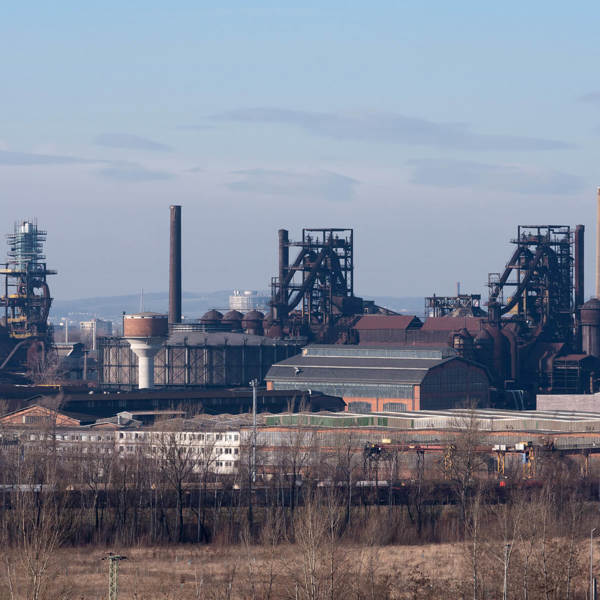 Image /media/43gfwg1g/dov-celk-1.jpg