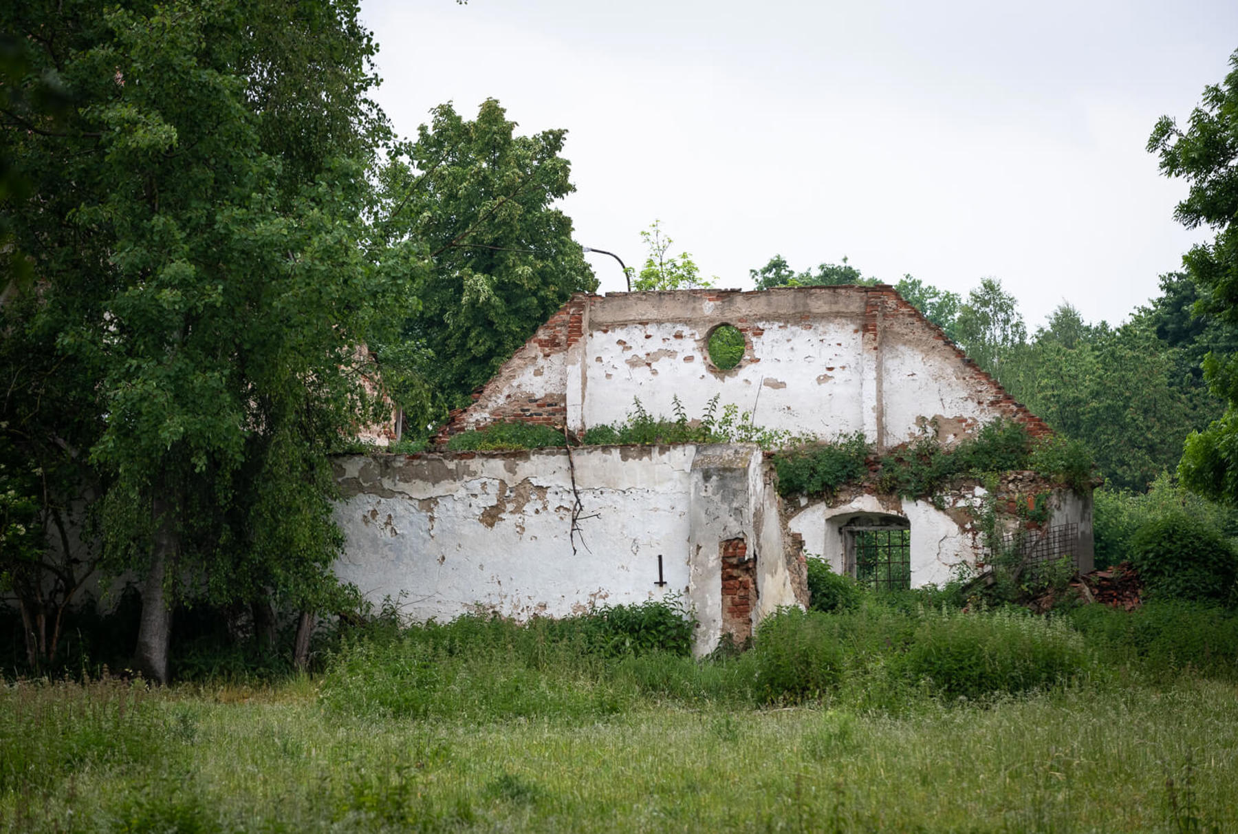 Image /media/455hgicd/dsc0421.jpg