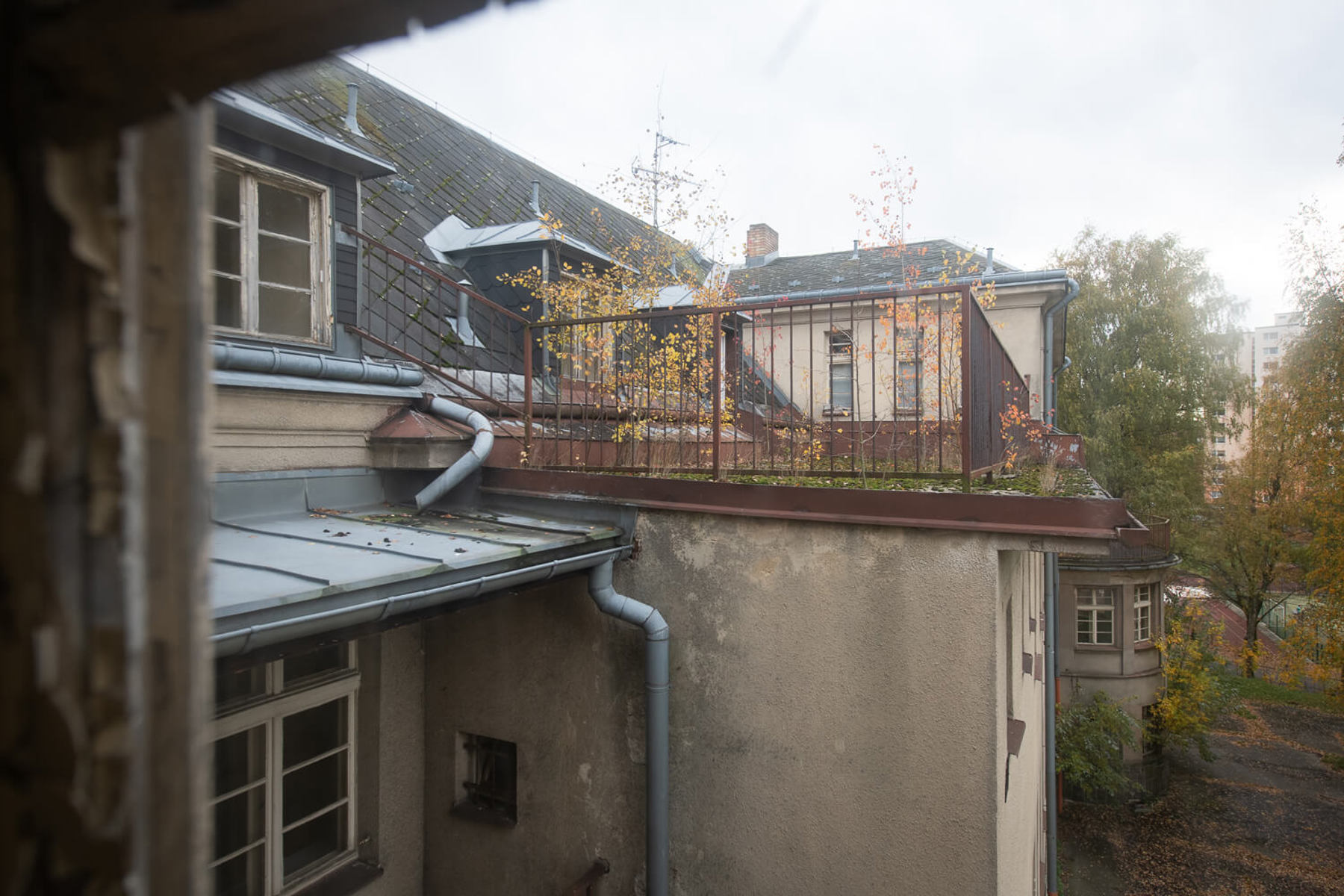 Image /media/45lgqxel/_dsc2763.jpg