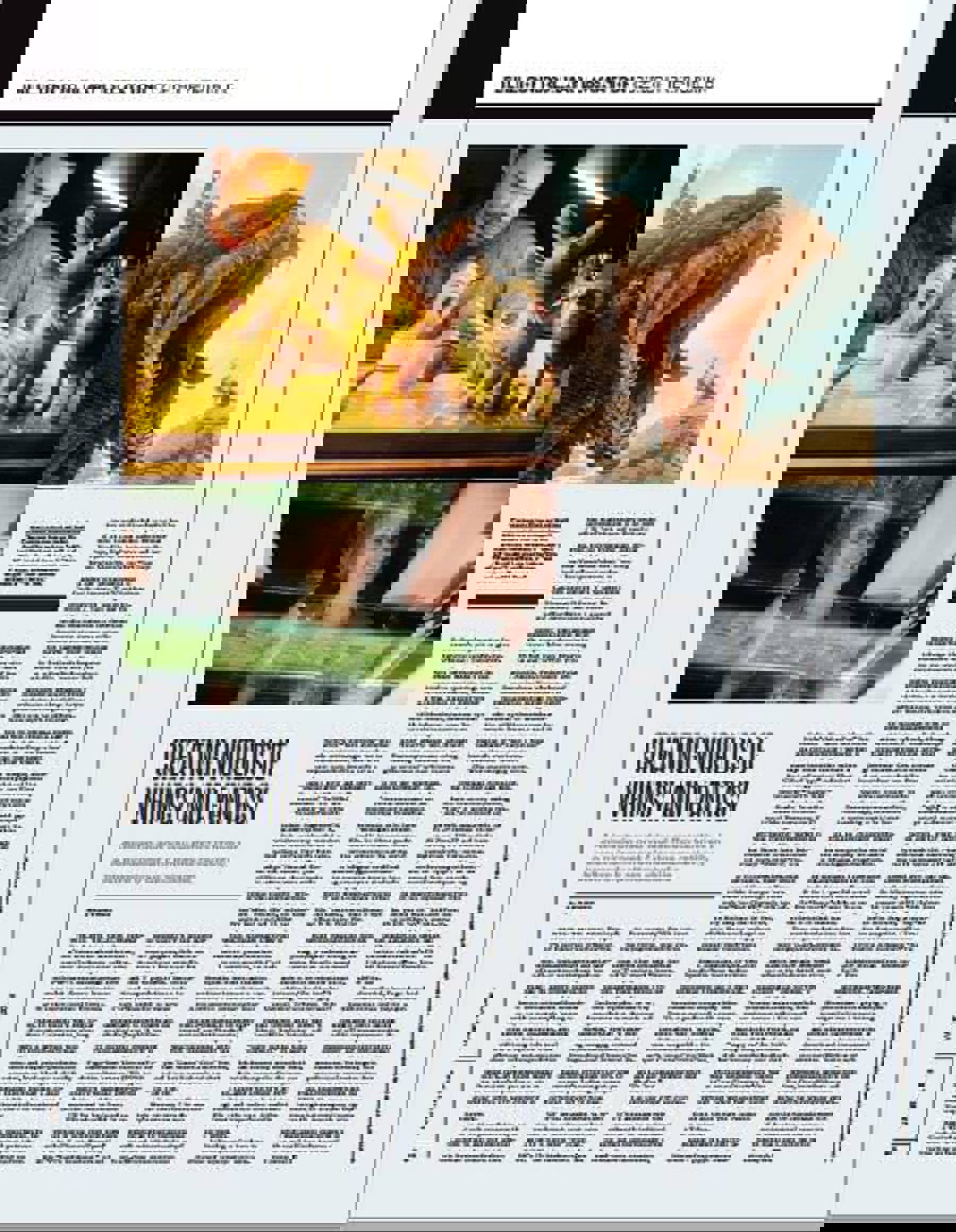 Obrázek /media/4gjlo3o2/variety_bdl_cr_86.jpg