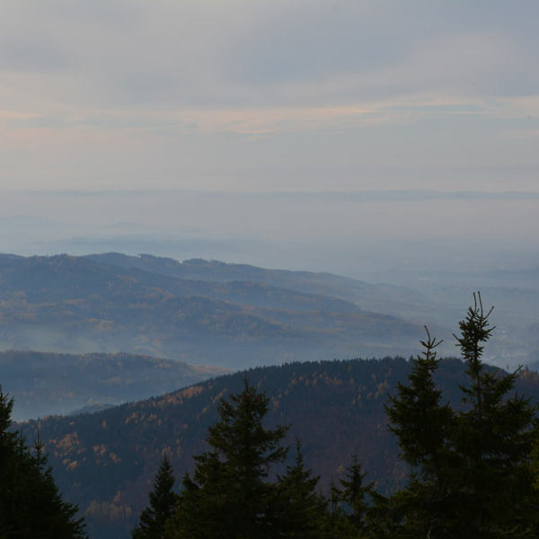 Image /media/4i5l4qss/dsc_7812.jpg
