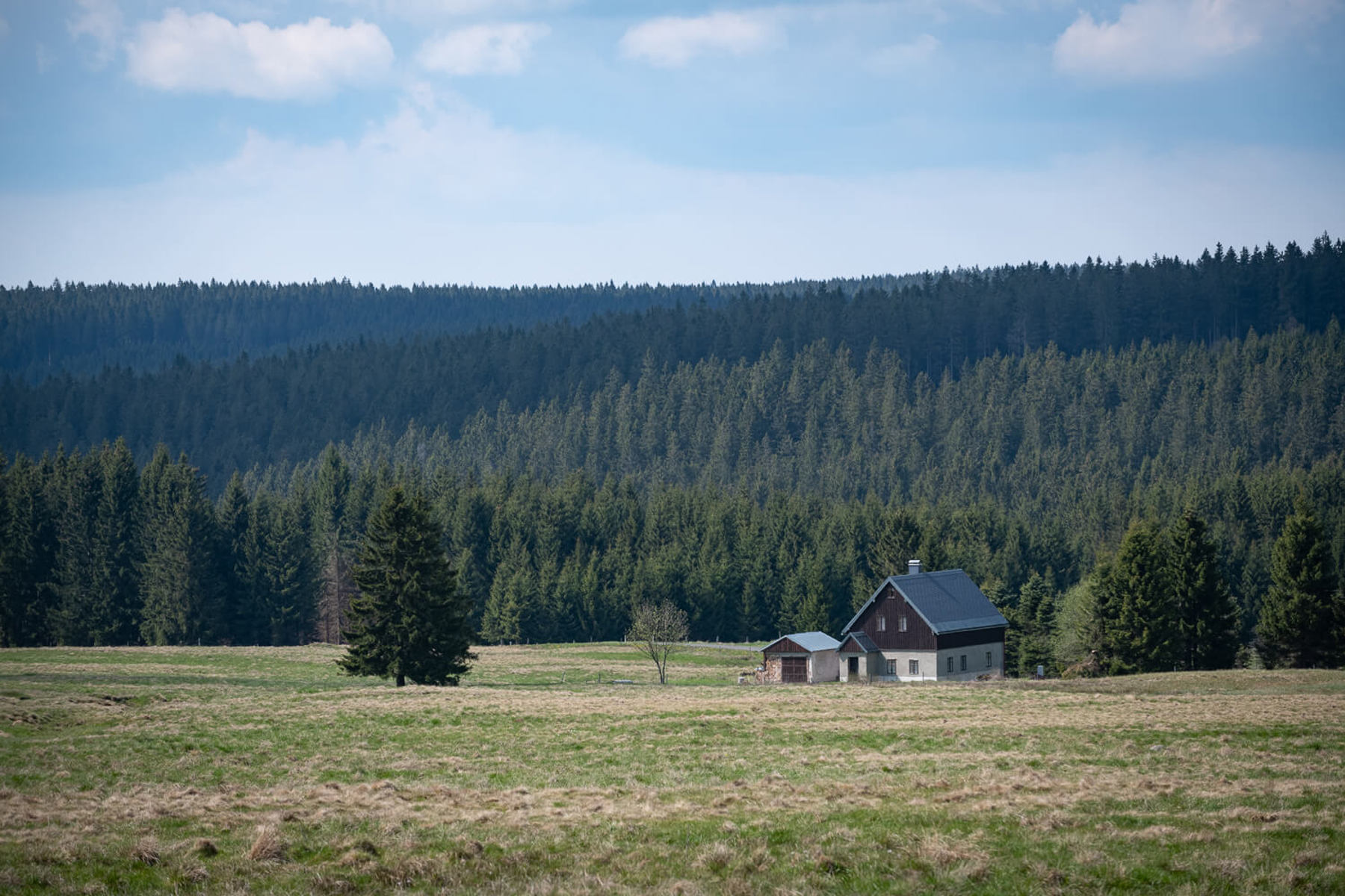 Image /media/4jpd3niv/dsc8059.jpg