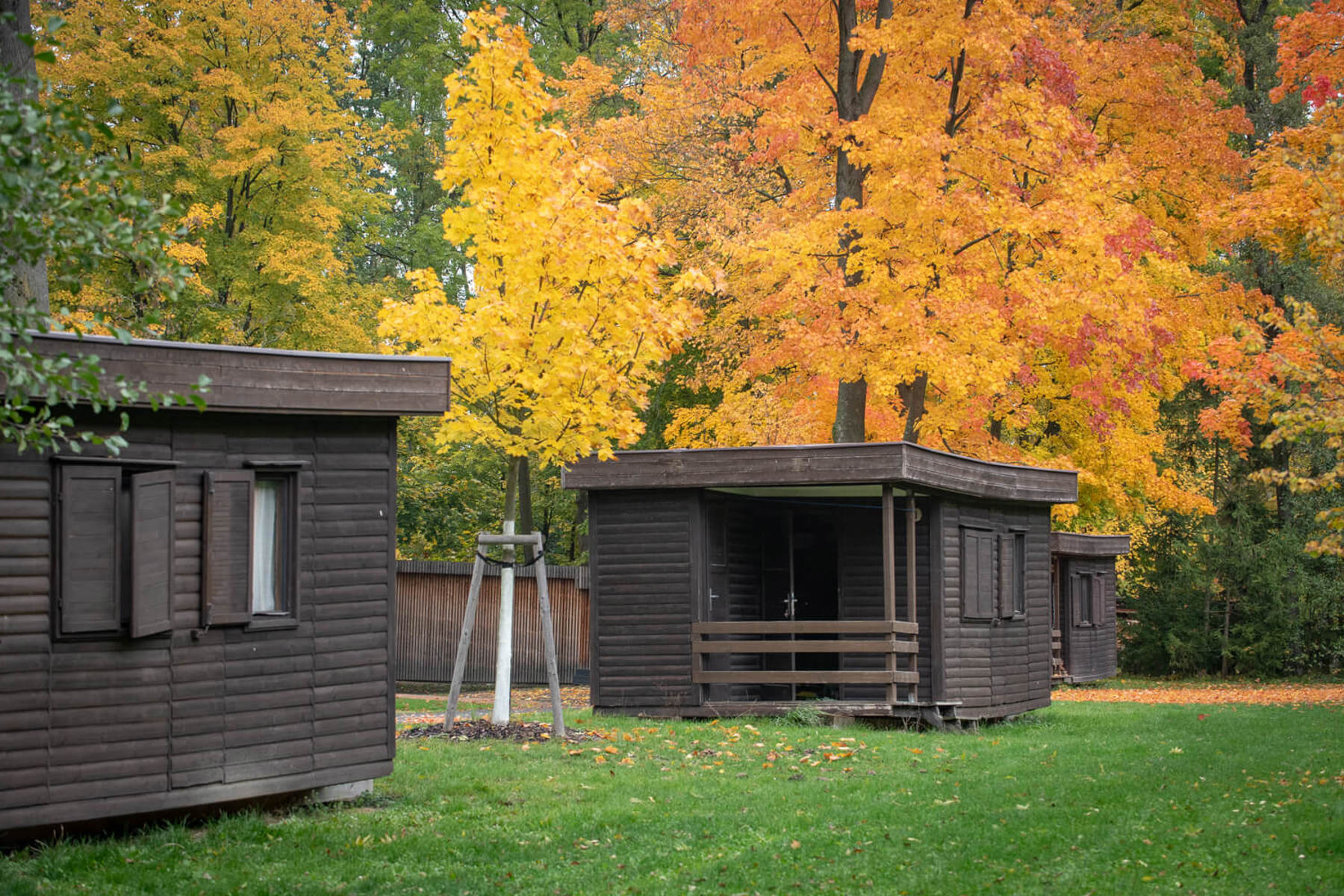 Obrázek /media/4kdck0fl/_dsc3746.jpg