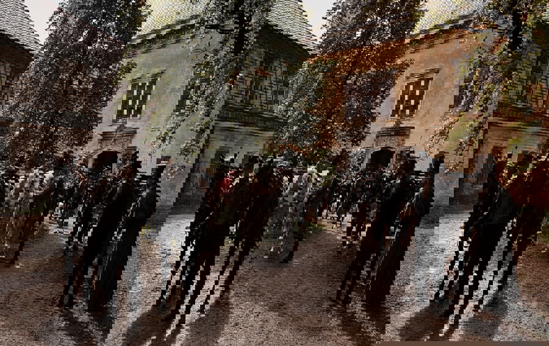 Image /media/4omjfpbs/55545-2-0019_800x505.jpg