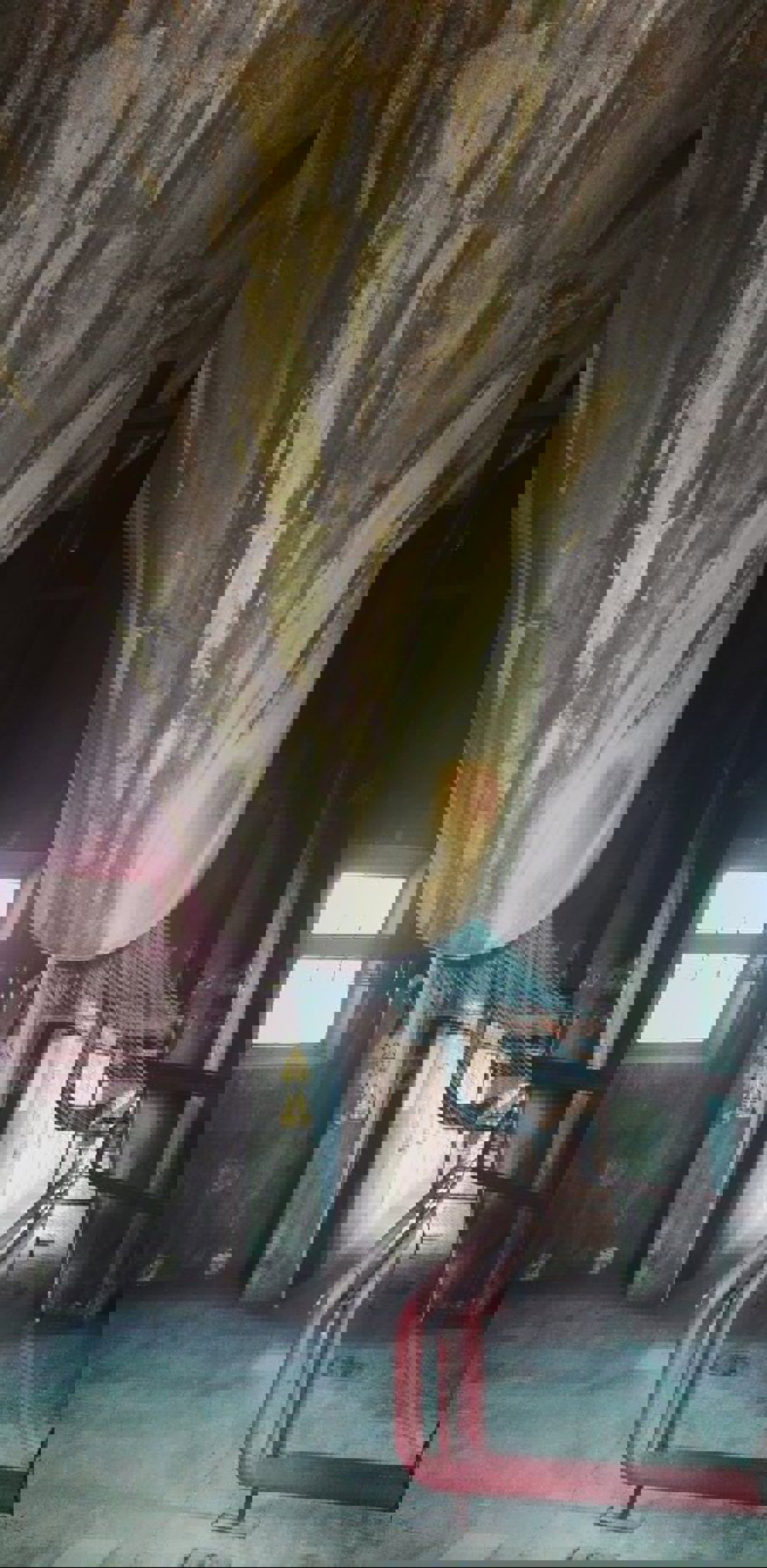 Image /media/4p4jdxpr/img_20170602_225244.jpg