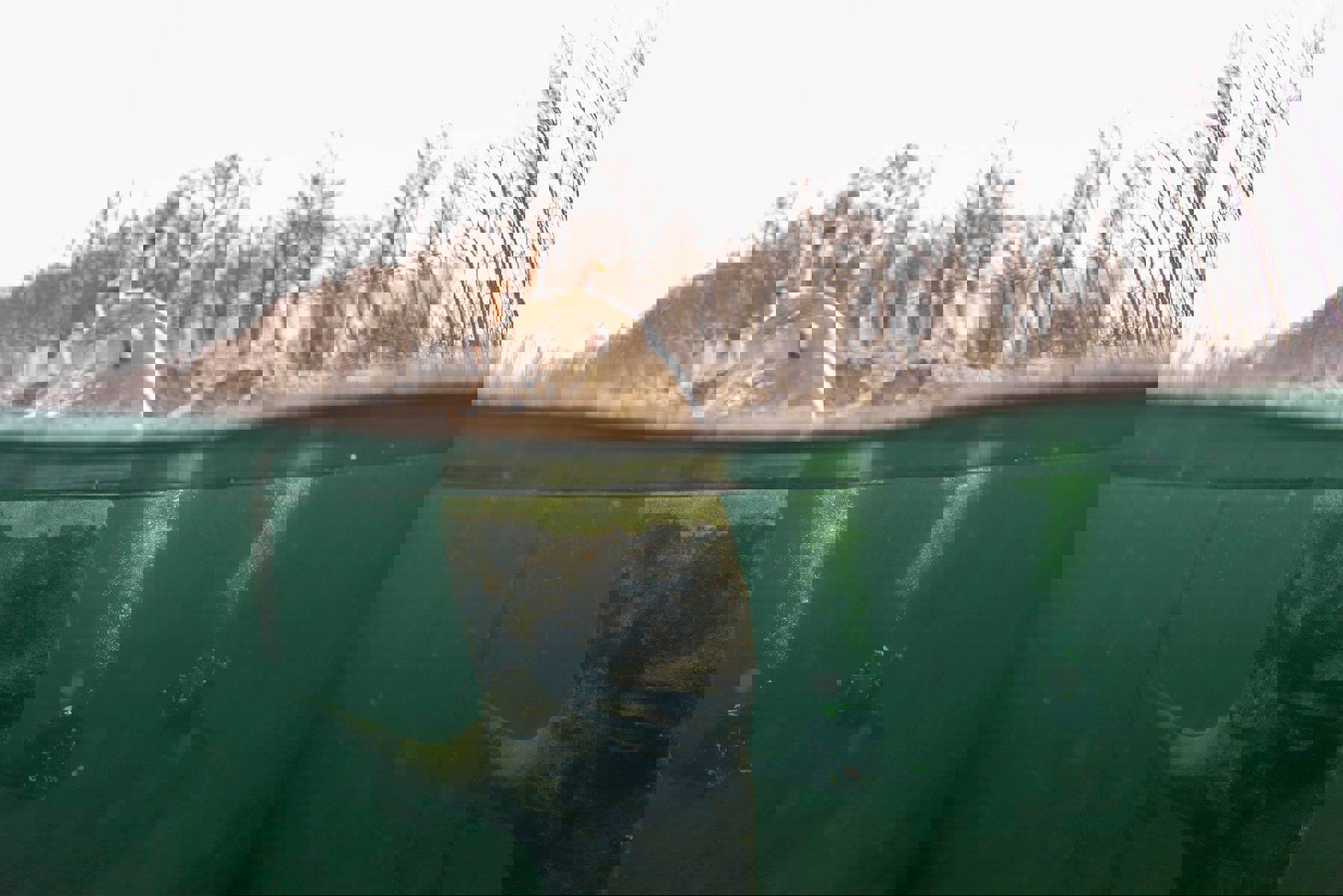 Obrázek /media/4pddiqa5/49242346_2278492952181604_4321333855417008128_o.jpg