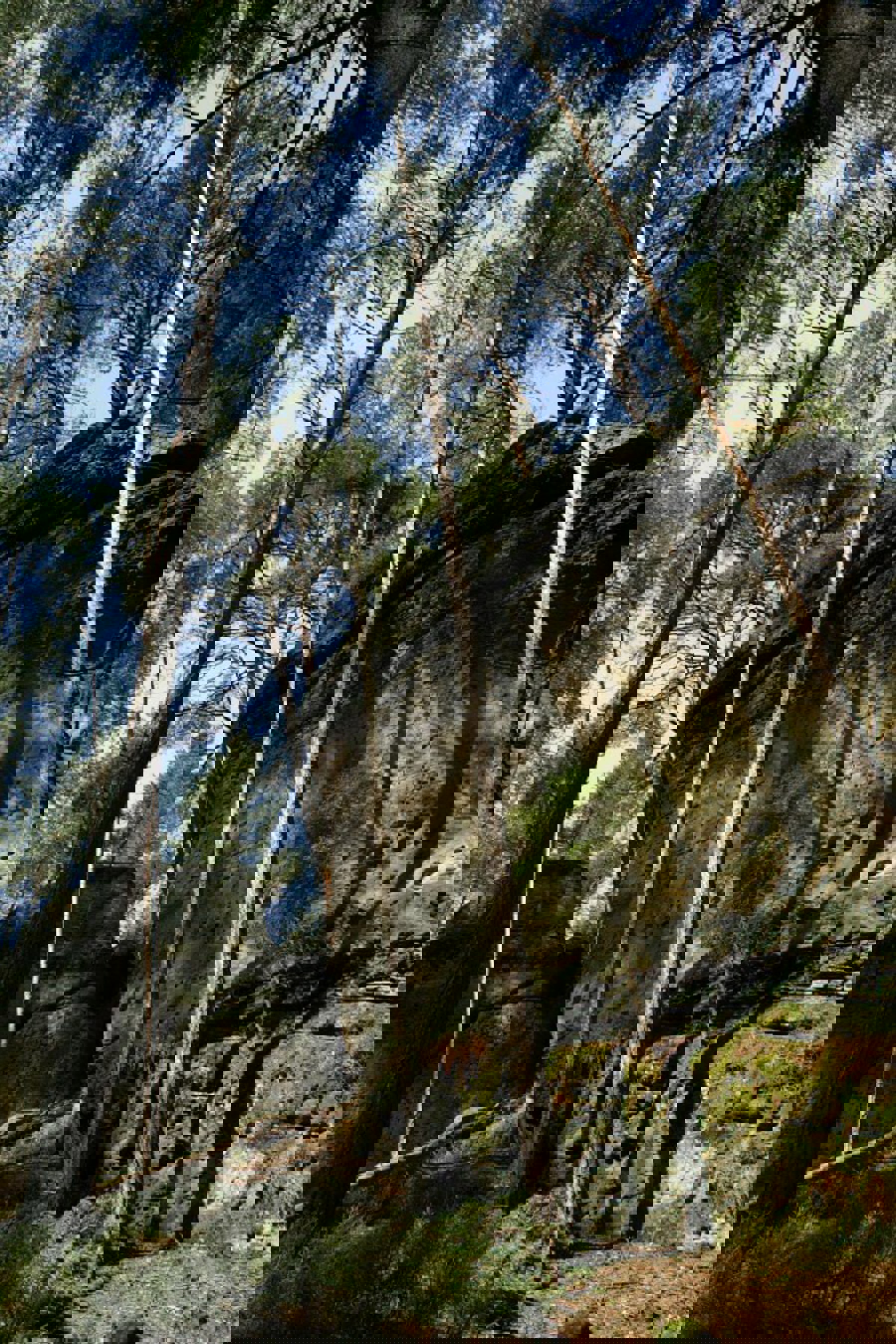 Obrázek /media/4pmil3qi/10___toulovcovy_mastale.jpg