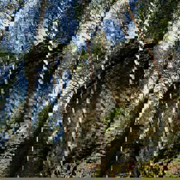 Obrázek /media/4pmil3qi/10___toulovcovy_mastale.jpg