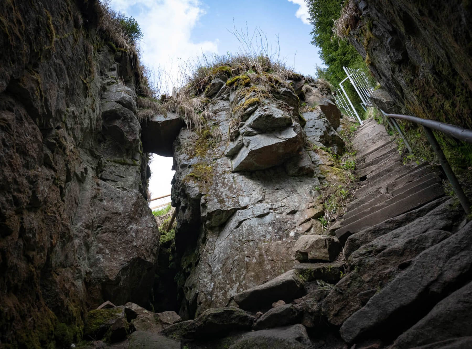 Image /media/4pvbpzgf/dsc8005.jpg