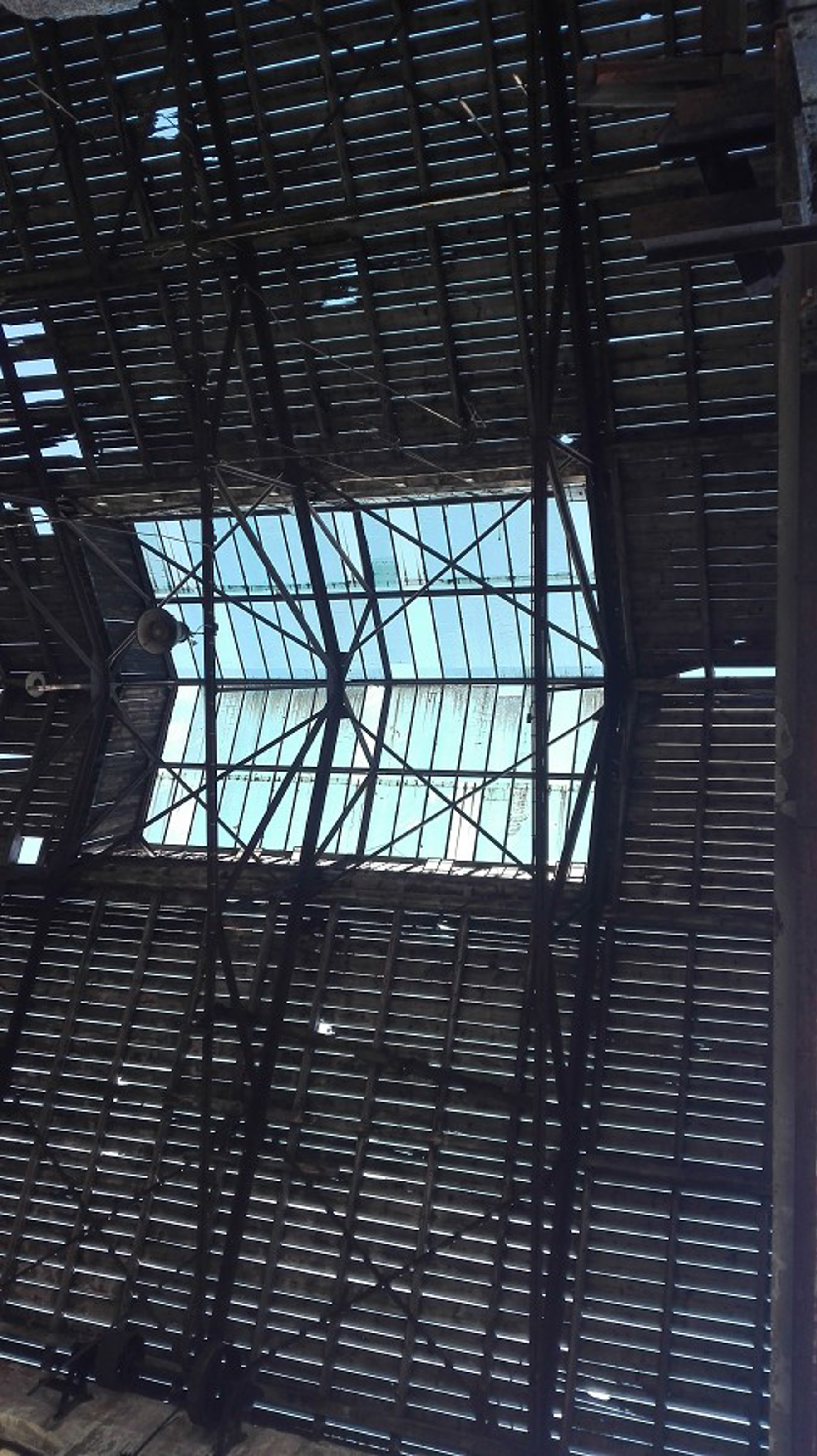 Obrázek /media/4s5h5iah/img_20170601_092647.jpg